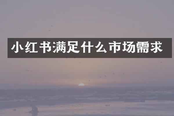 小红书满足什么市场需求