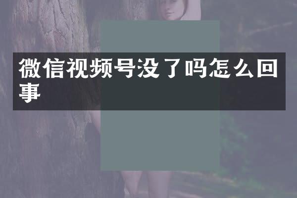 微信视频号没了吗怎么回事