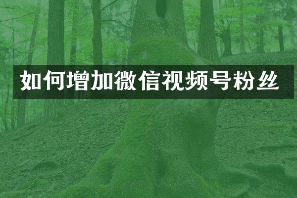 如何增加微信视频号粉丝