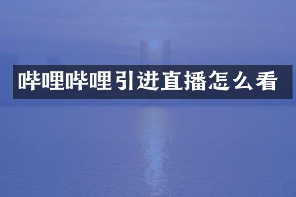 哔哩哔哩引进直播怎么看