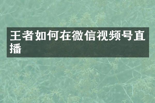 王者如何在微信视频号直播