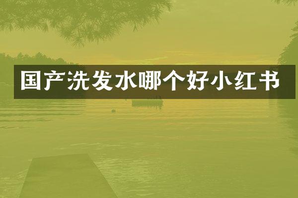 国产洗发水哪个好小红书