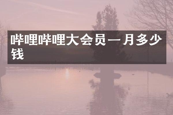 哔哩哔哩大会员一月多少钱