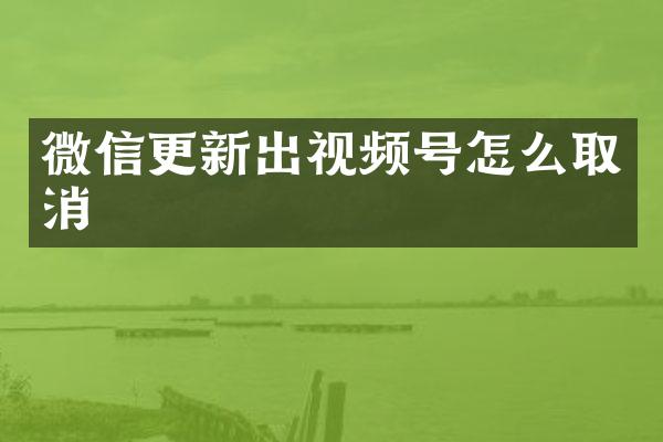 微信更新出视频号怎么取消