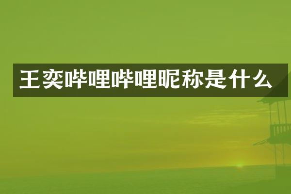 王奕哔哩哔哩昵称是什么