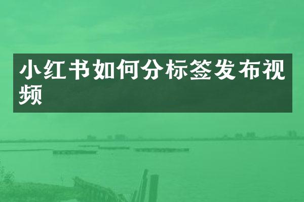小红书如何分标签发布视频