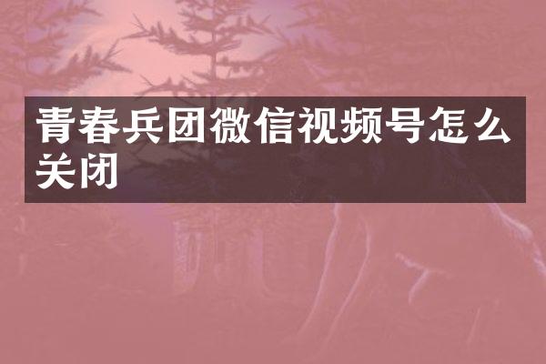 青春兵团微信视频号怎么关闭