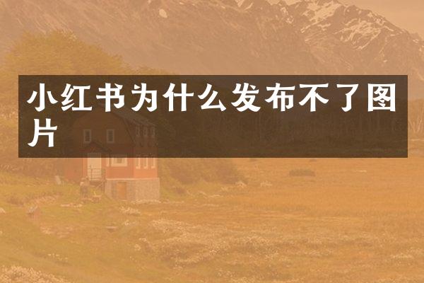 小红书为什么发布不了图片