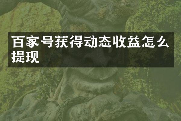 百家号获得动态收益怎么提现