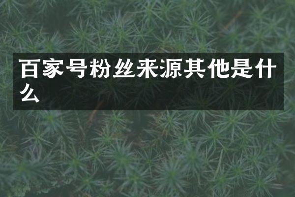 百家号粉丝来源其他是什么