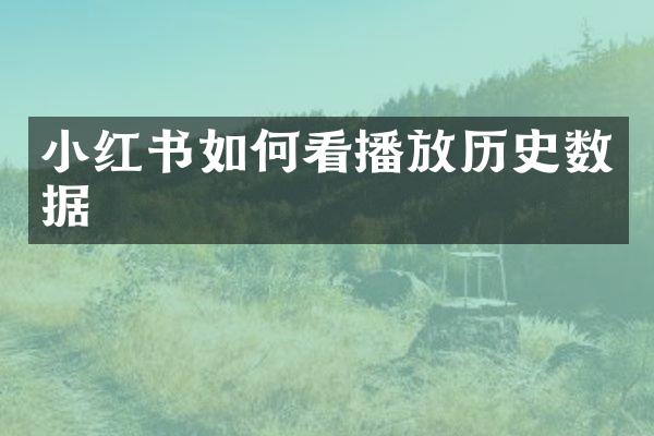 小红书如何看播放历史数据