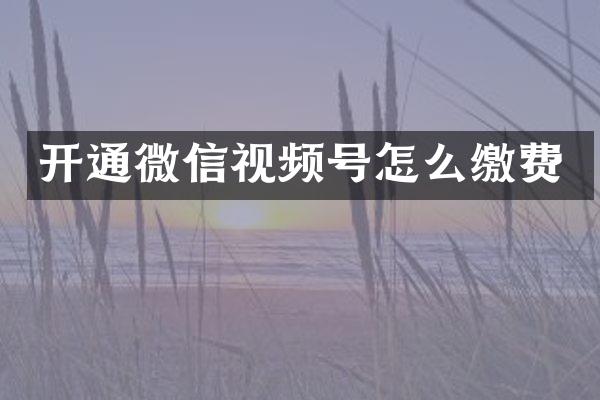 开通微信视频号怎么缴费