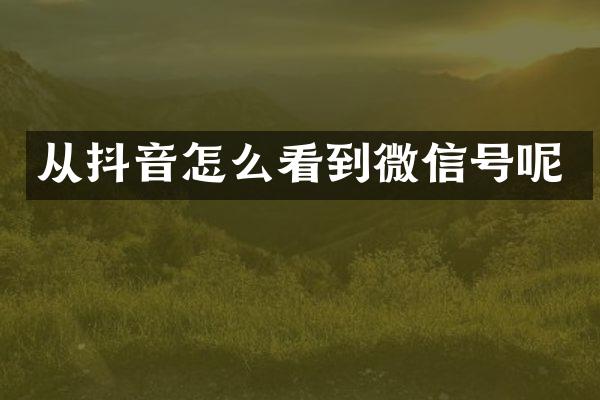 从抖音怎么看到微信号呢
