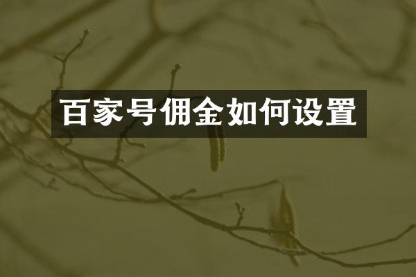 百家号佣金如何设置