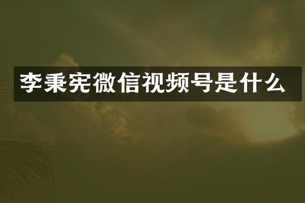 李秉宪微信视频号是什么
