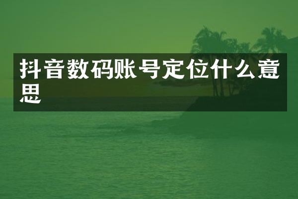 抖音数码账号定位什么意思