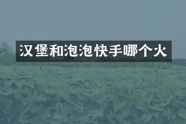 汉堡和泡泡快手哪个火