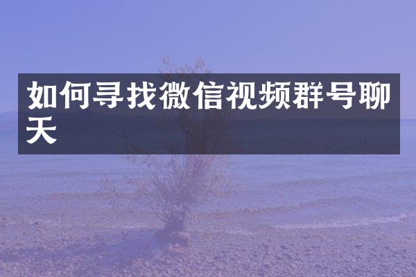 如何寻找微信视频群号聊天