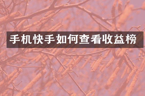手机快手如何查看收益榜