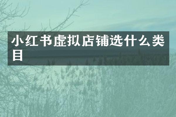 小红书虚拟店铺选什么类目