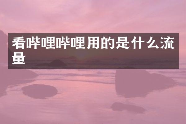 看哔哩哔哩用的是什么流量