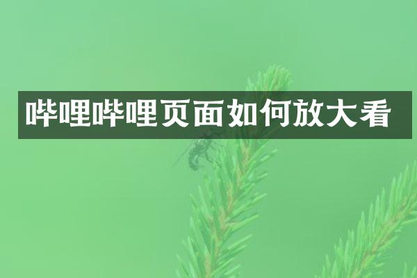 哔哩哔哩页面如何放大看