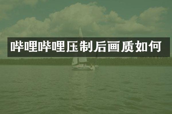 哔哩哔哩压制后画质如何