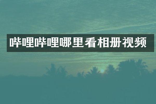 哔哩哔哩哪里看相册视频