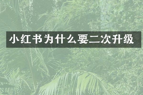 小红书为什么要二次升级