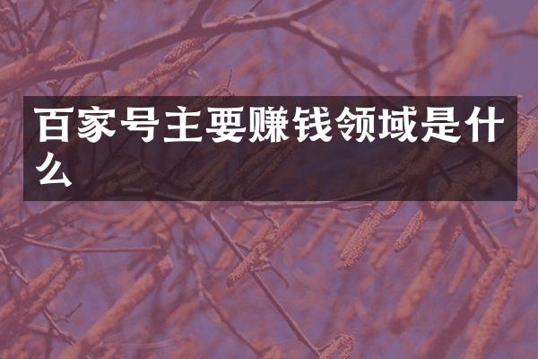 百家号主要赚钱领域是什么