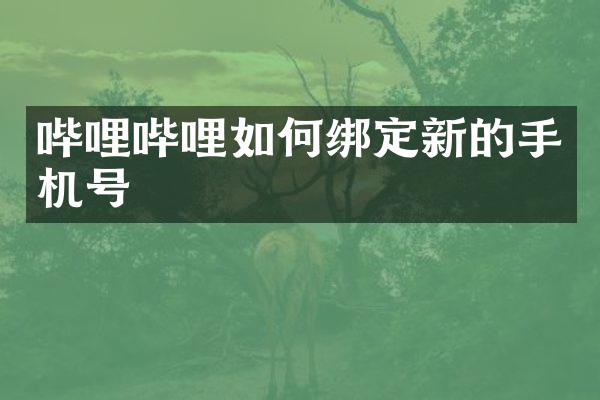 哔哩哔哩如何绑定新的手机号