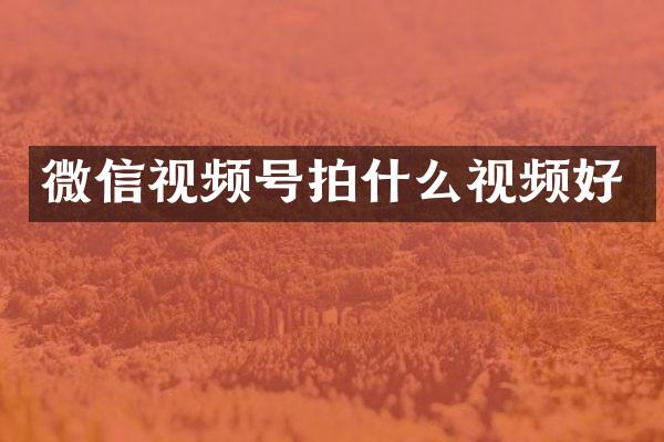 微信视频号拍什么视频好