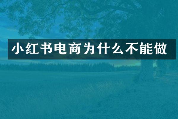 小红书电商为什么不能做