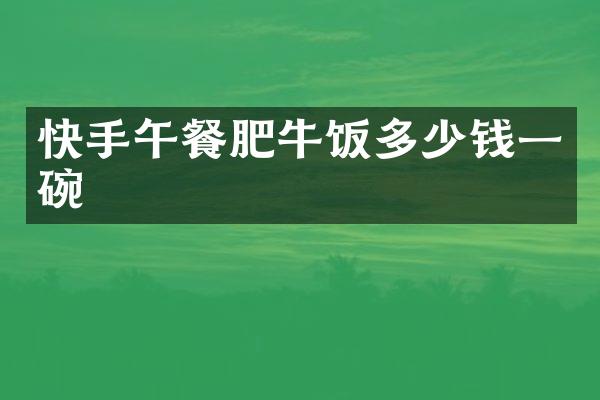 快手午餐肥牛饭多少钱一碗