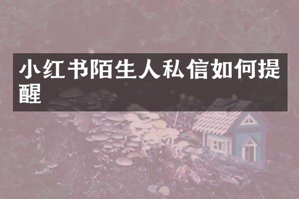 小红书陌生人私信如何提醒