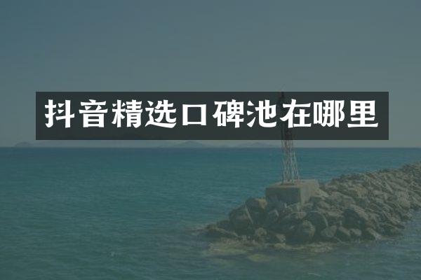 抖音精选口碑池在哪里