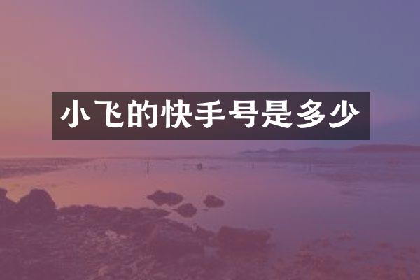 小飞的快手号是多少