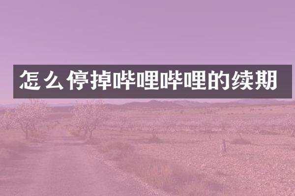 怎么停掉哔哩哔哩的续期