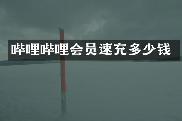 哔哩哔哩会员速充多少钱