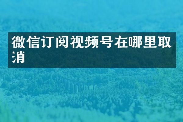 微信订阅视频号在哪里取消