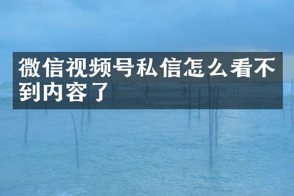 微信视频号私信怎么看不到内容了