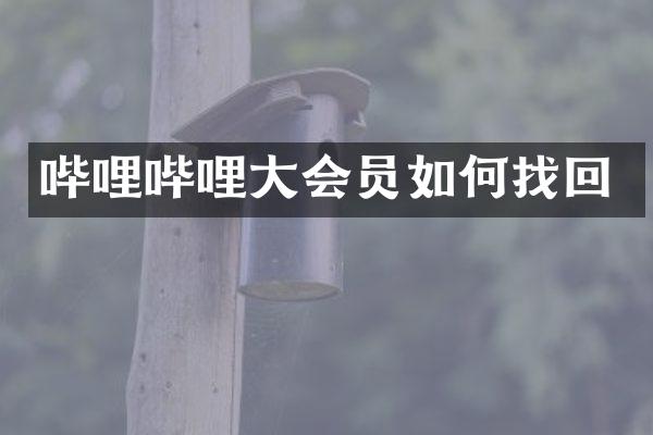 哔哩哔哩大会员如何找回