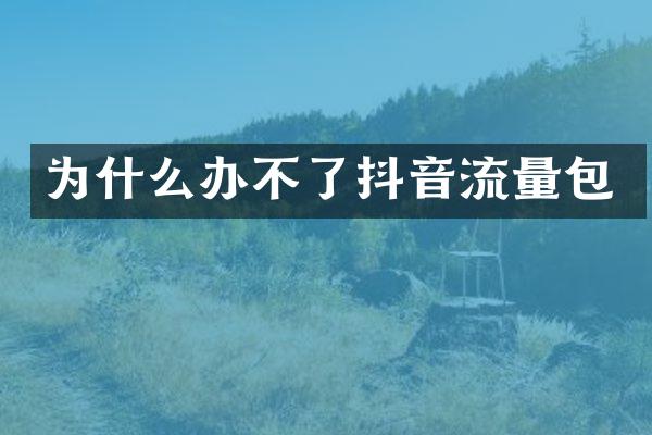 为什么办不了抖音流量包