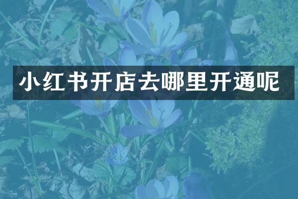 小红书开店去哪里开通呢