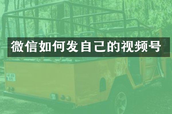 微信如何发自己的视频号