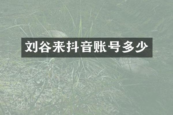 刘谷来抖音账号多少