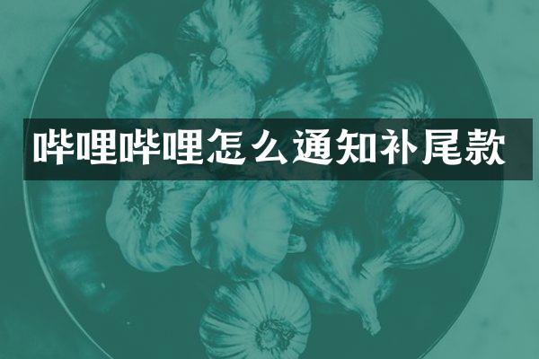 哔哩哔哩怎么通知补尾款