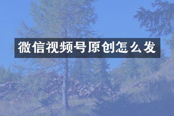 微信视频号原创怎么发