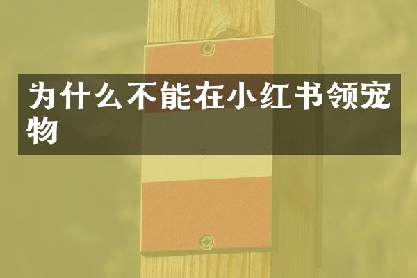 为什么不能在小红书领宠物