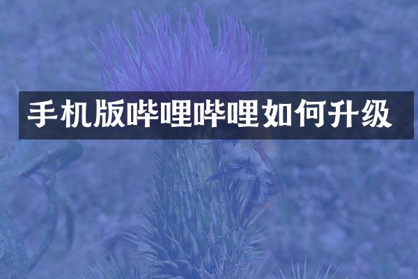 手机版哔哩哔哩如何升级